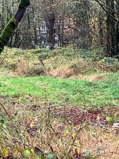 Property Photo: 29280 NE 189th Street WA 98019