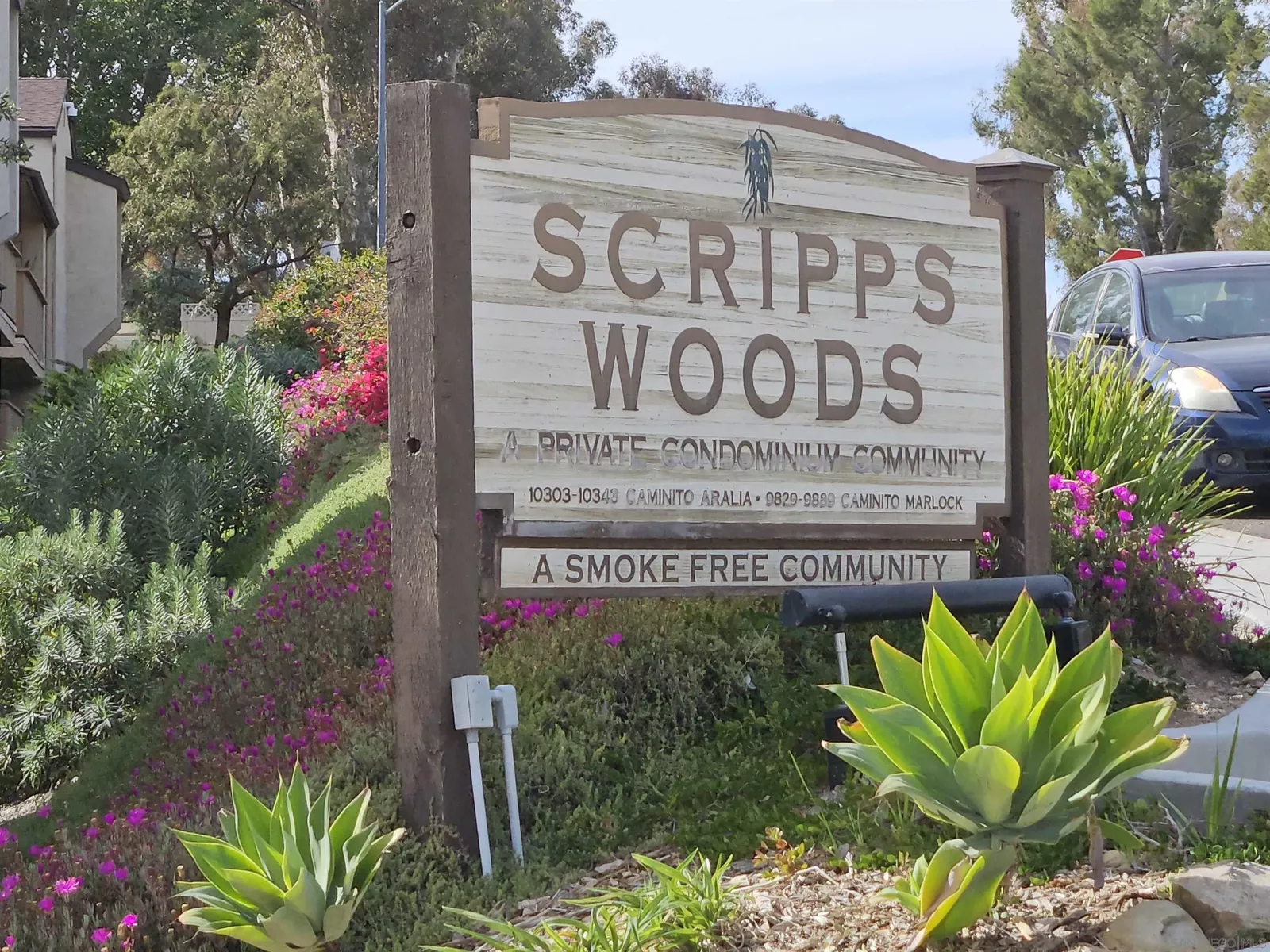 Property Photo:  10333 Caminito Aralia 65  CA 92131 