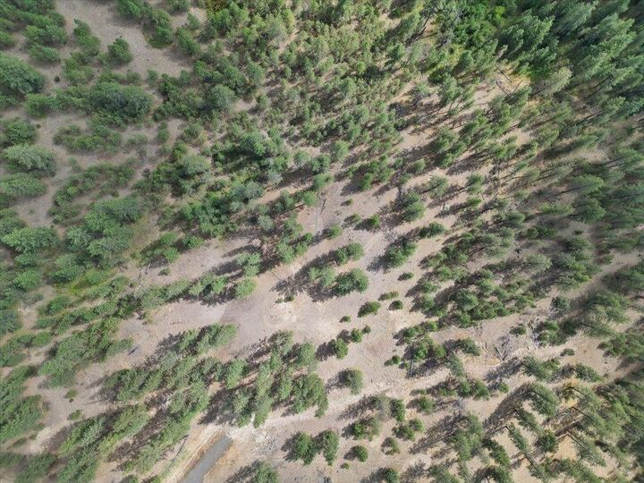 Property Photo: Nka Weaver Way Lot 4 Of Lot 7 WA 99006