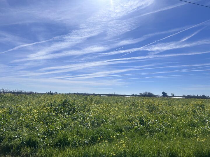 Property Photo:  0 SE Avenue 88 Avenue SE  CA 93270 