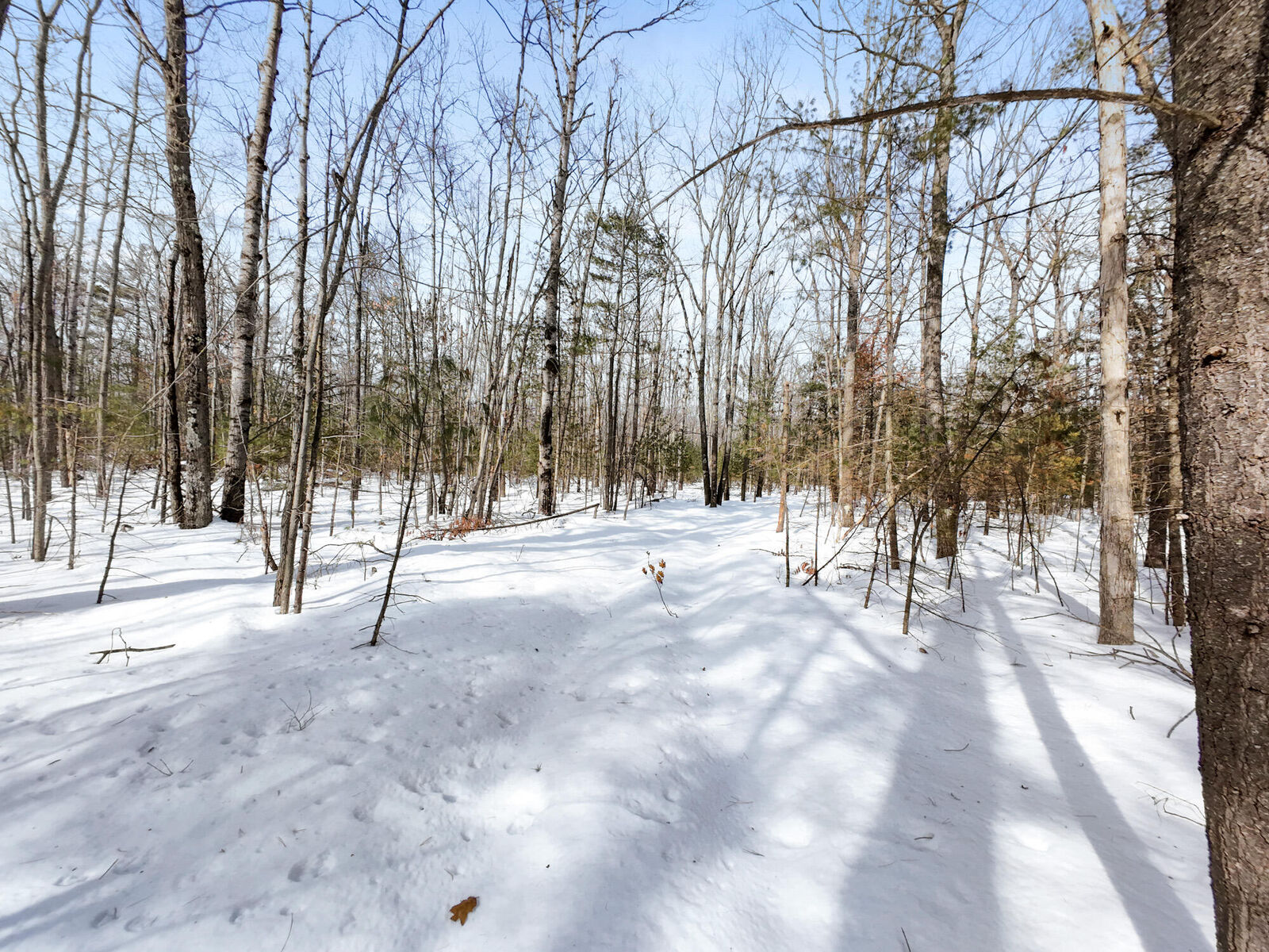 Property Photo:  6.0 Ac Ranch Road  MI 49791 