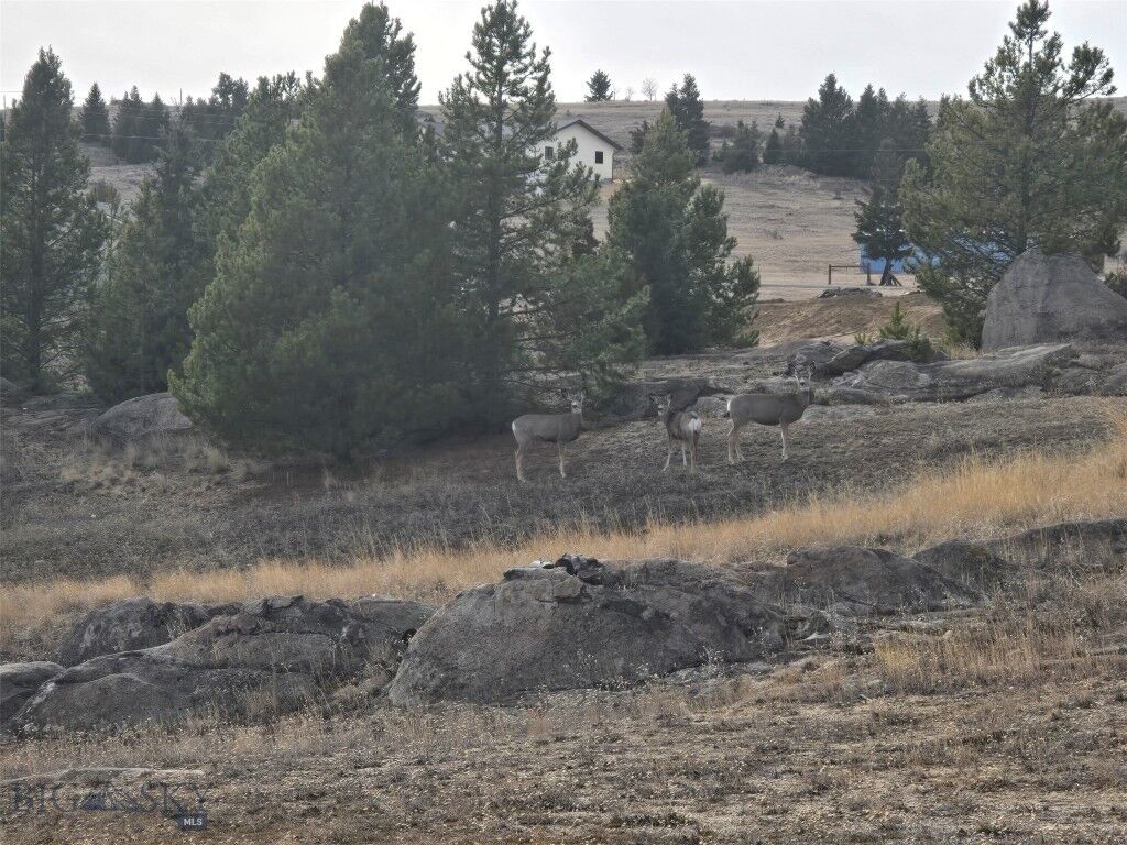 Property Photo:  1160 Water Line Road  MT 59701 
