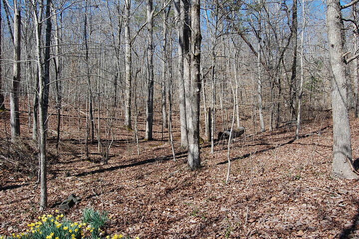 Property Photo:  5 Pickett Cross Road  TN 37397 