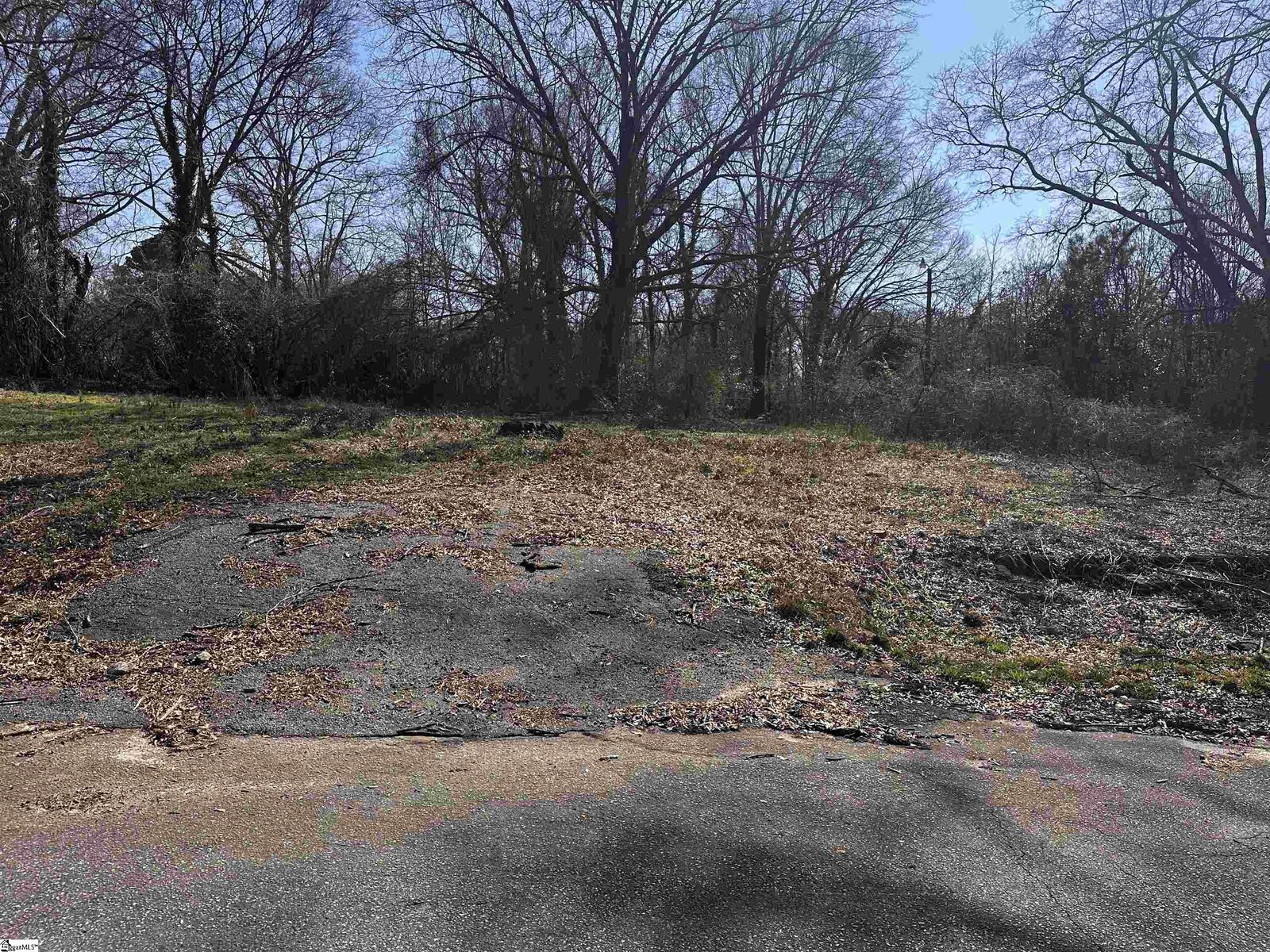 Property Photo:  Lot 13 Wenzick Street  SC 29625 