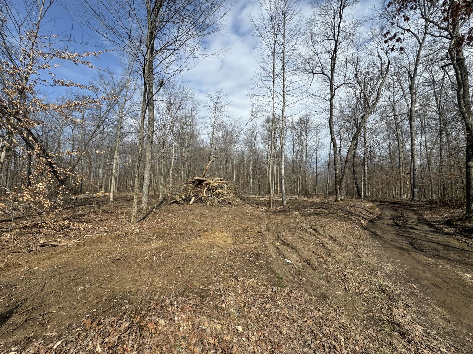 Property Photo:  000 Dug Hill Road Tract 13  KY 40409 