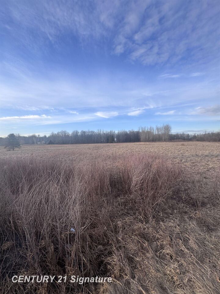 Property Photo: V/L E Hubbard Road MI 48642