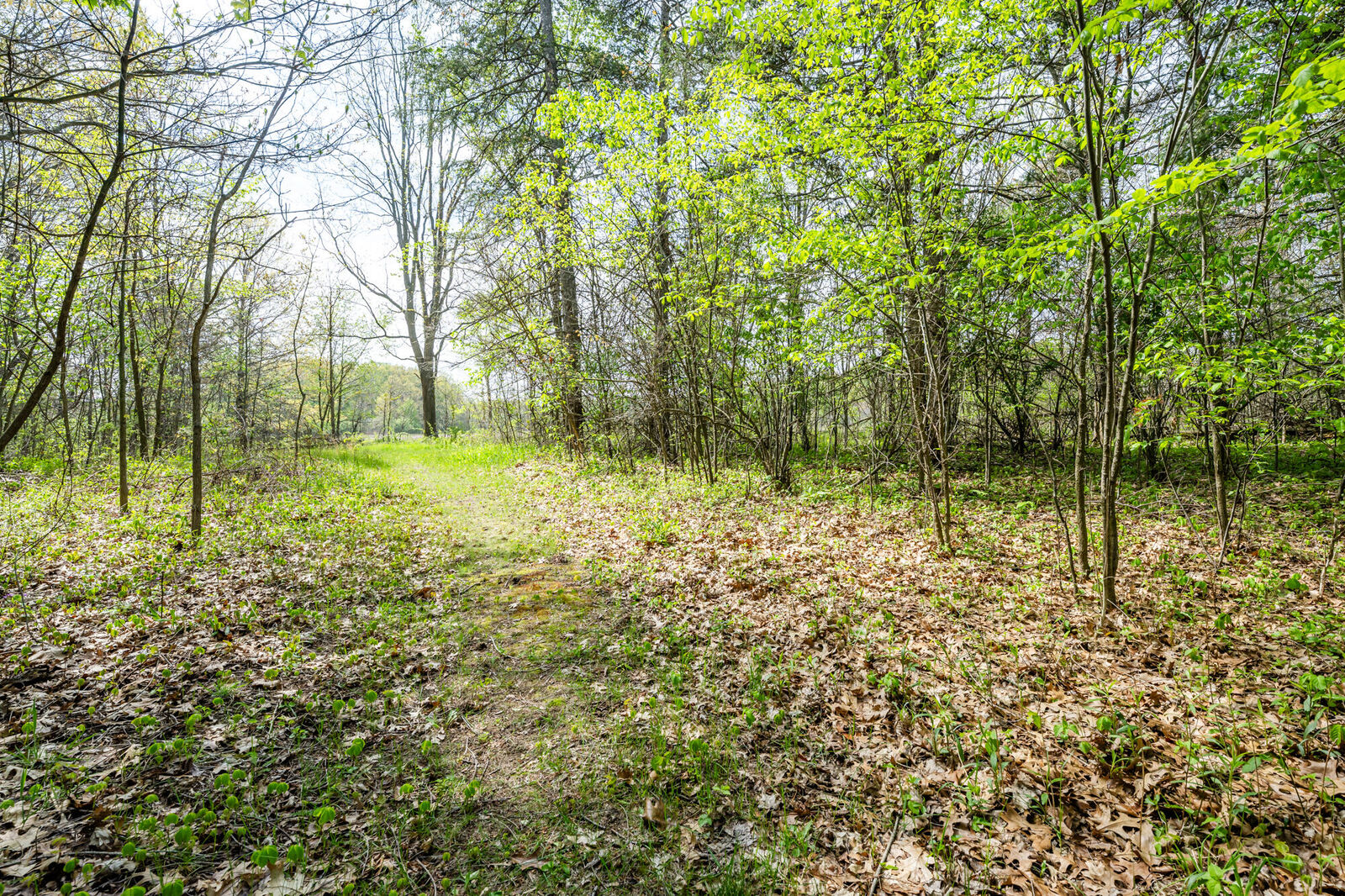 Property Photo: 0A Linke Rd Road MI 49106