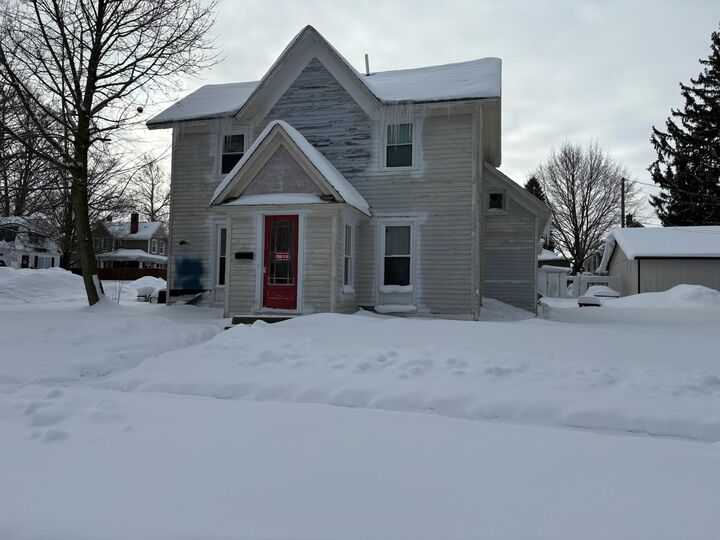 Property Photo:  217 E Lincoln Street  MI 49420 