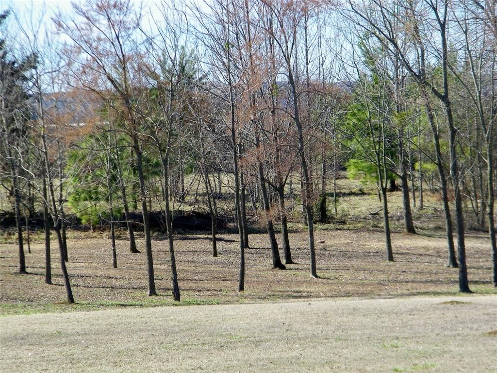 Property Photo: E Washington Street Lot 4 OK 74745