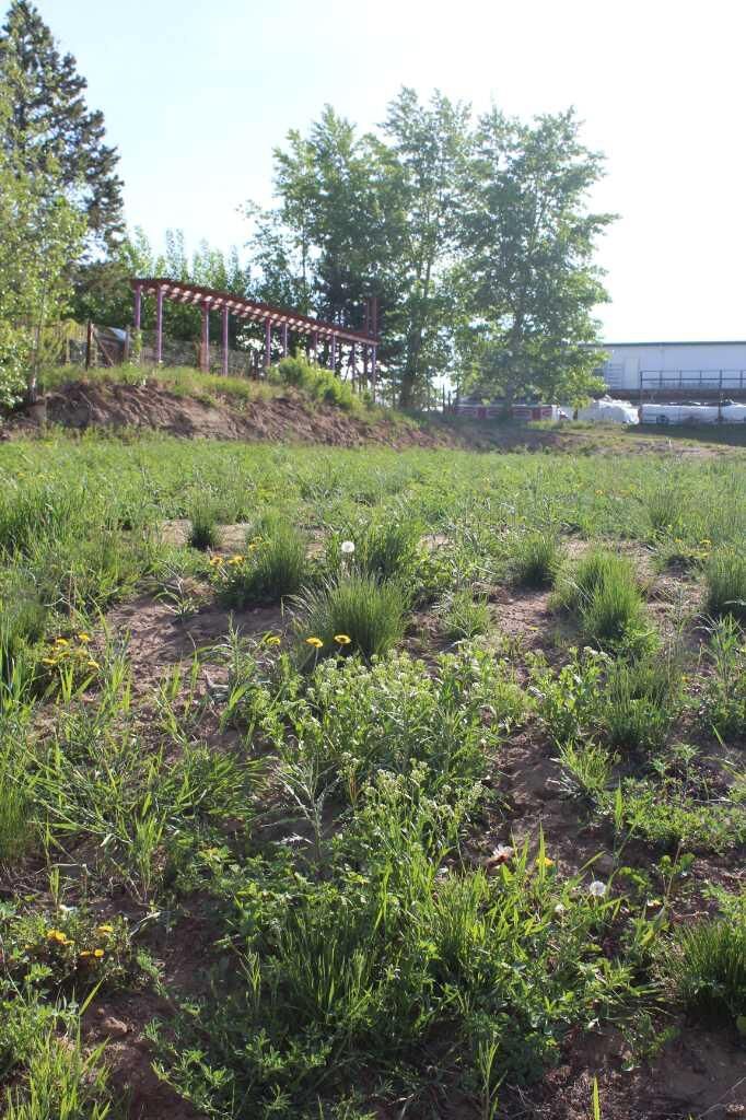 Property Photo: 202 4th Avenue AB T0H 2M0