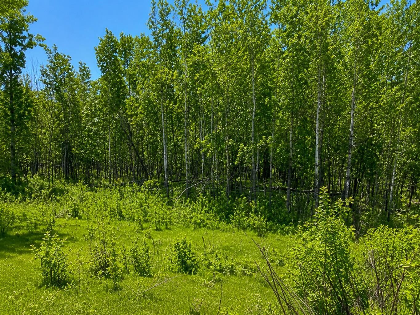 Property Photo:  26 50220 204 Range  AB T0B 4A0 