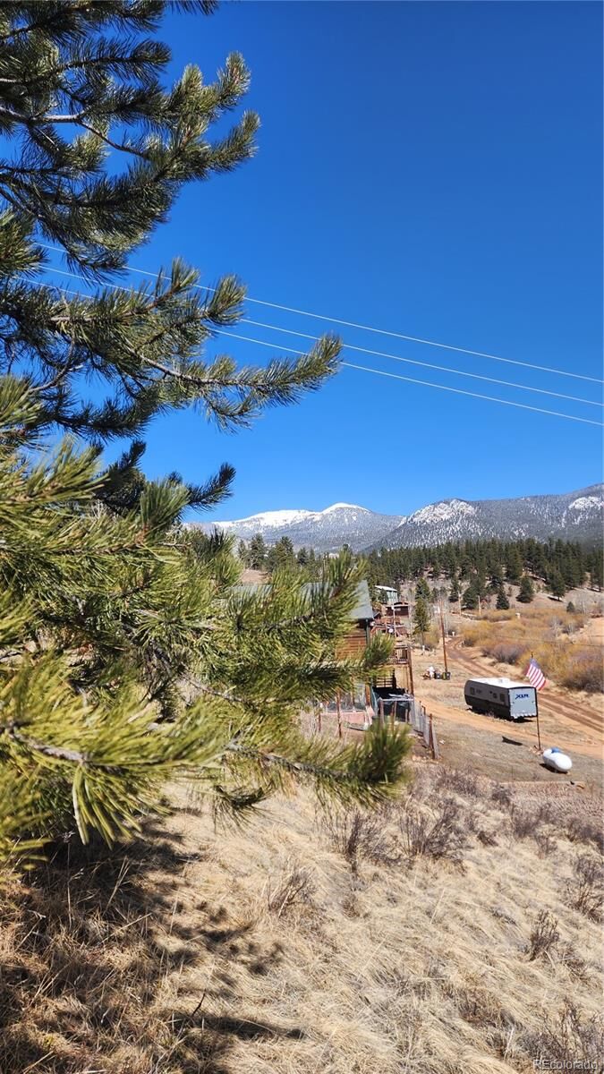 Property Photo:  267 Ward Street  CO 80421 