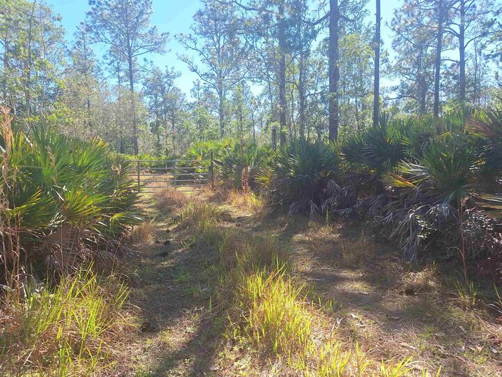 Property Photo:  330 Damascus Road  FL 32724 