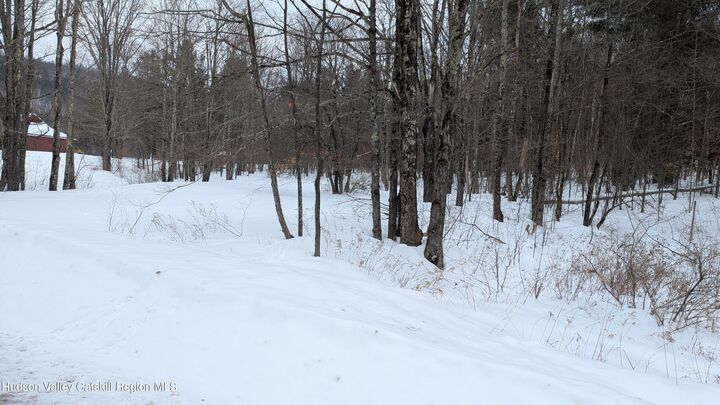 Property Photo:  0 High Peak Road Lot 61 &Amp 20  NY 12496 