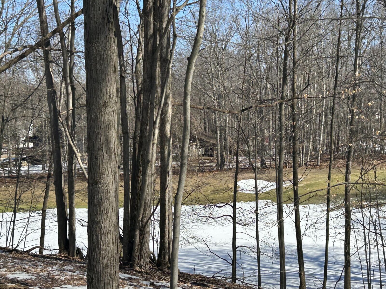 Property Photo:  9570 Pere Marquette Drive  MI 49346 