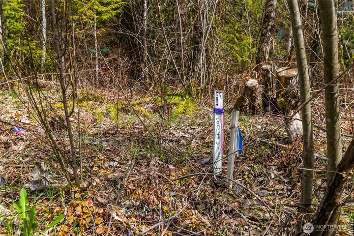 Property Photo: 17045 Iceberg Road WA 98244