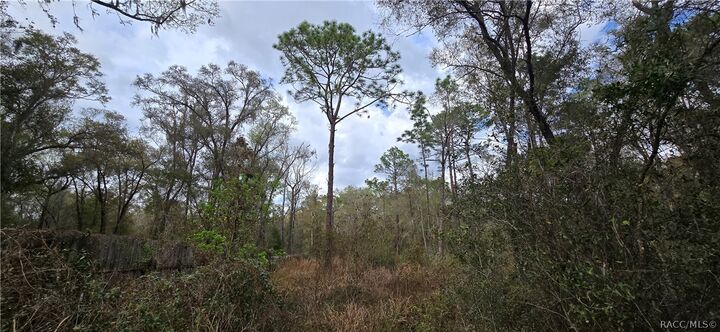 Property Photo:  3491 E Stage Coach Trail  FL 34452 