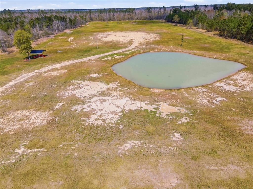 Property Photo:  479 Newt Hodges Road  LA  