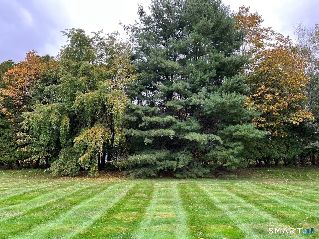 Property Photo:  212 Church Street  CT 06111 