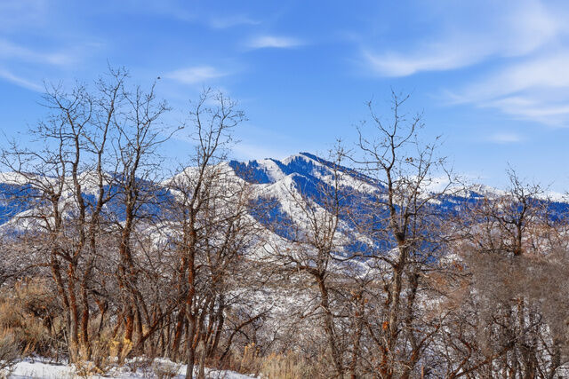 Property Photo:  2014 Canyon Gate Rd 73  UT 84098 