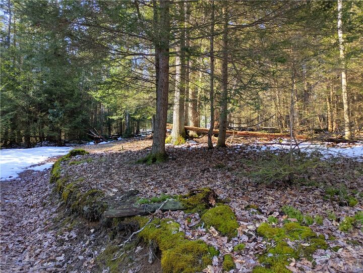 Property Photo: 160 Mill Run School Rd PA 15437