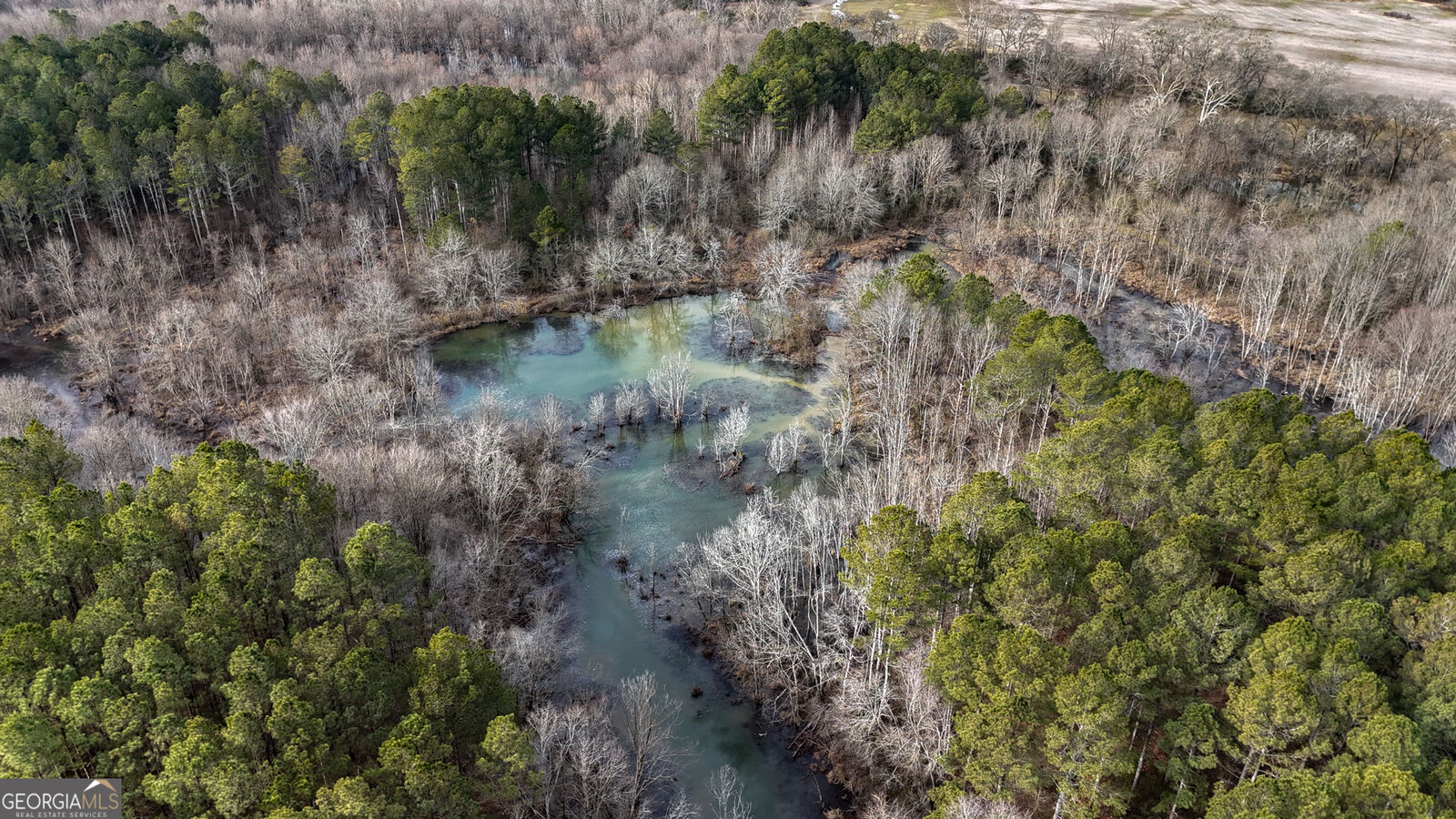 Property Photo:  557 Acres On Taliaferro Springs Road  GA 30730 