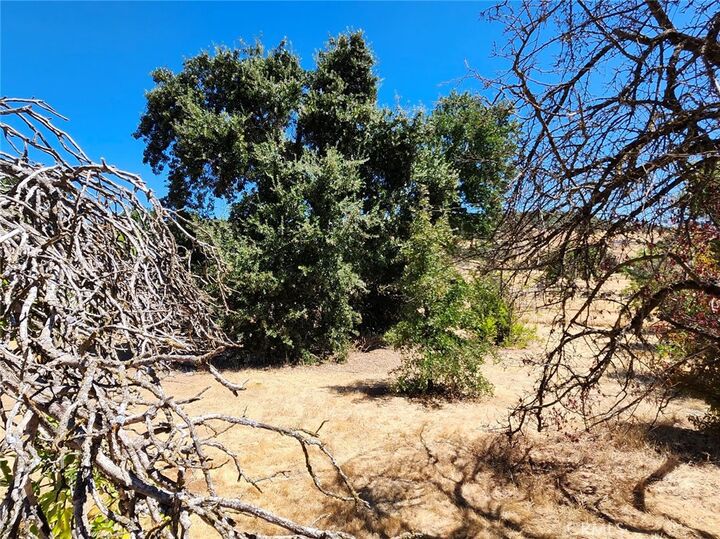 Property Photo:  3960 Emile Avenue  CA 95422 