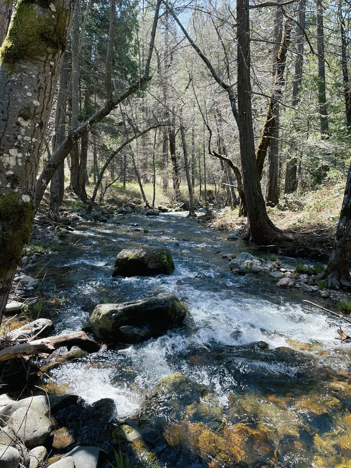 Property Photo:  0 Parcel B Armstrong Road  CA 95250 