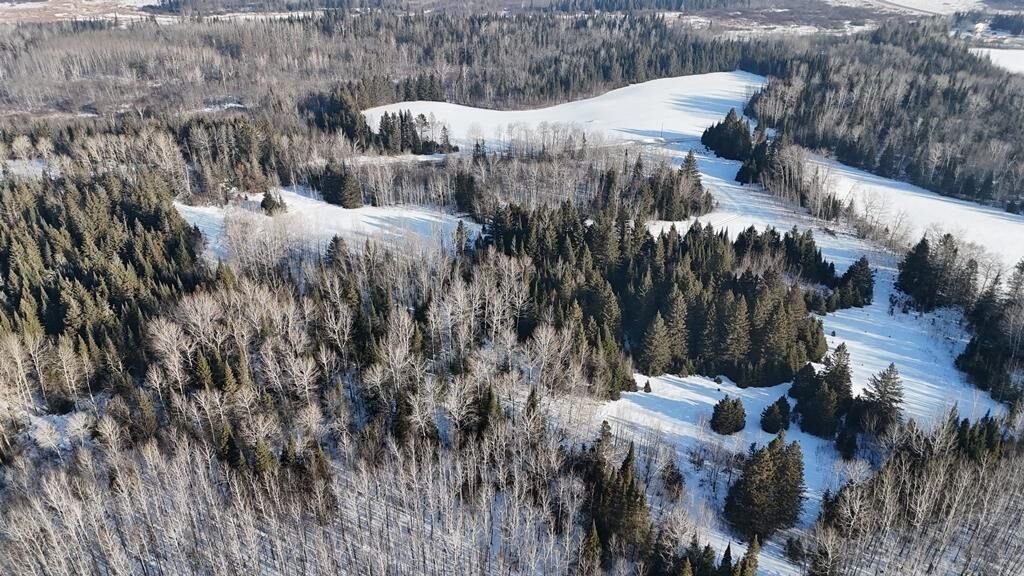 Property Photo:  12905 Township Road D  MN 55736 