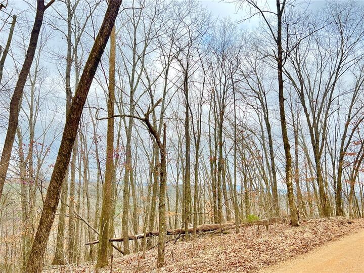 Property Photo:  Tbd Cr 246 265-00160-000  AR 72616 