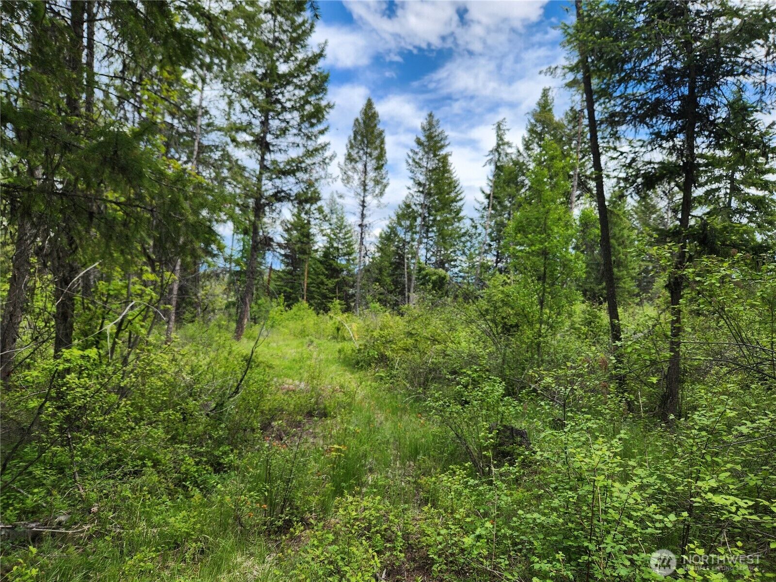 Property Photo:  318  Rockabye Lane  WA 99118 