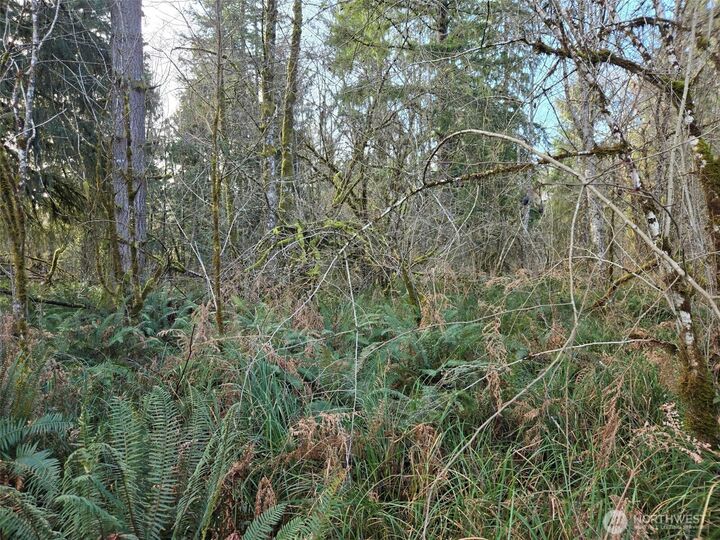 Property Photo:  0 Nka  Moore Road  WA 98541 