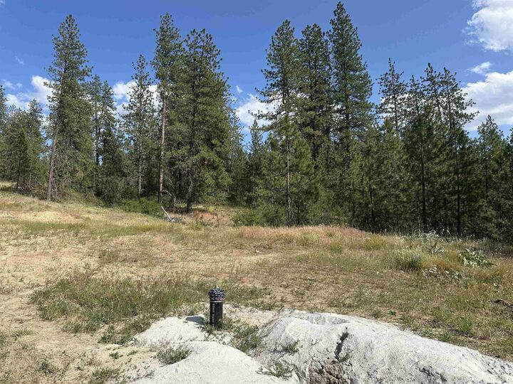 Property Photo:  Nka Lower Weaver Way Lots A And B  WA 99006 