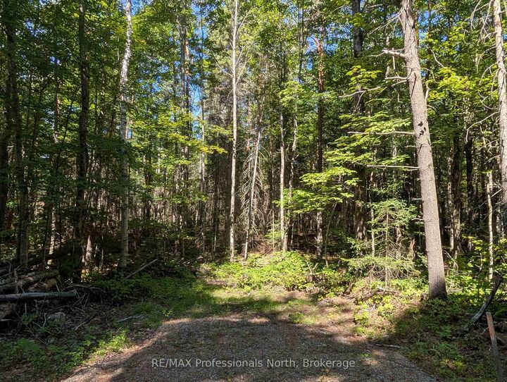 Property Photo:  2246 Yearley Road  ON P0A 1Y0 