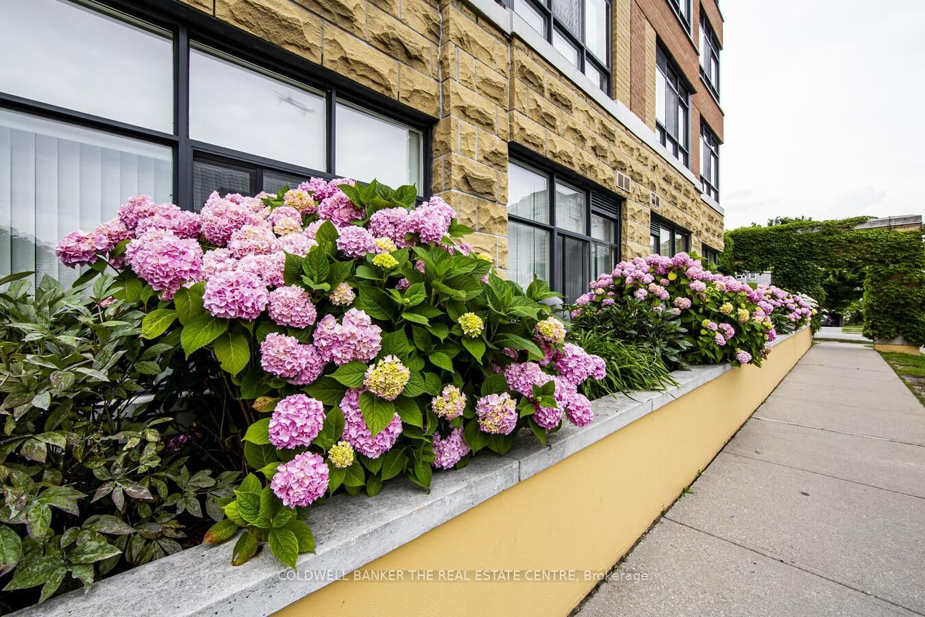 Property Photo: 115 Bonis Avenue 510 ON M1T 3S4