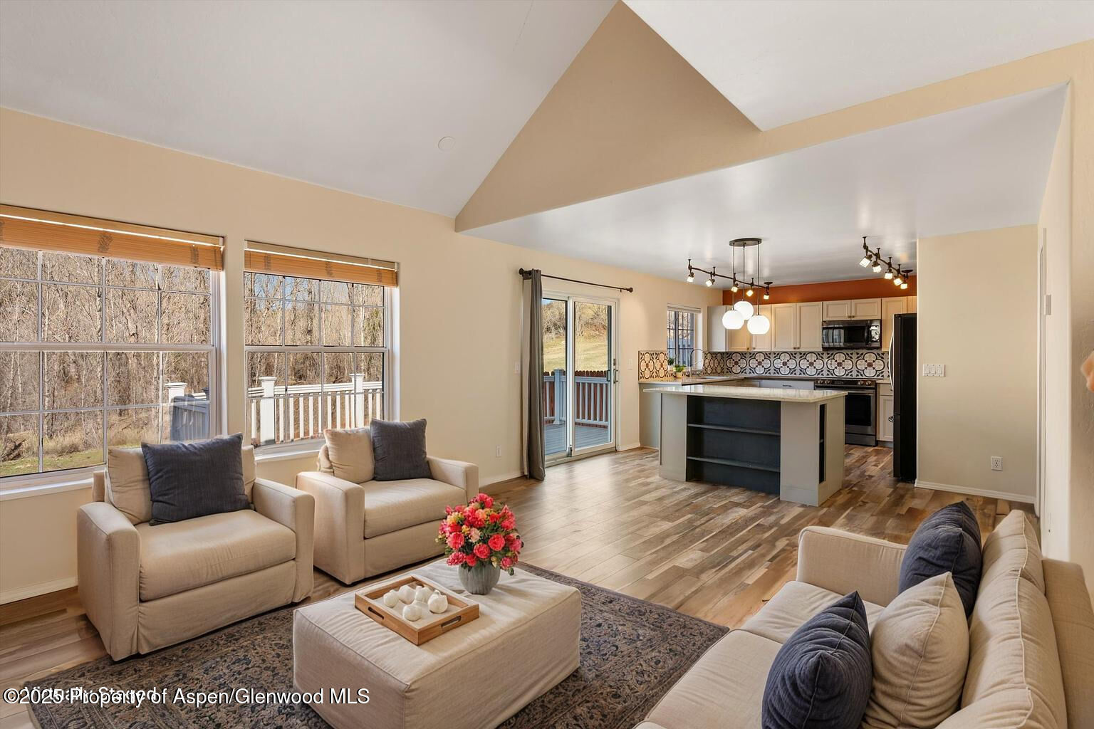 Property Photo: 721 Pine Court CO 81647