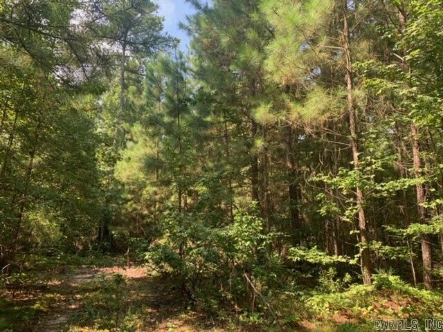 Property Photo:  Lot 18 Oklahoma Inn Road  AR 72015 