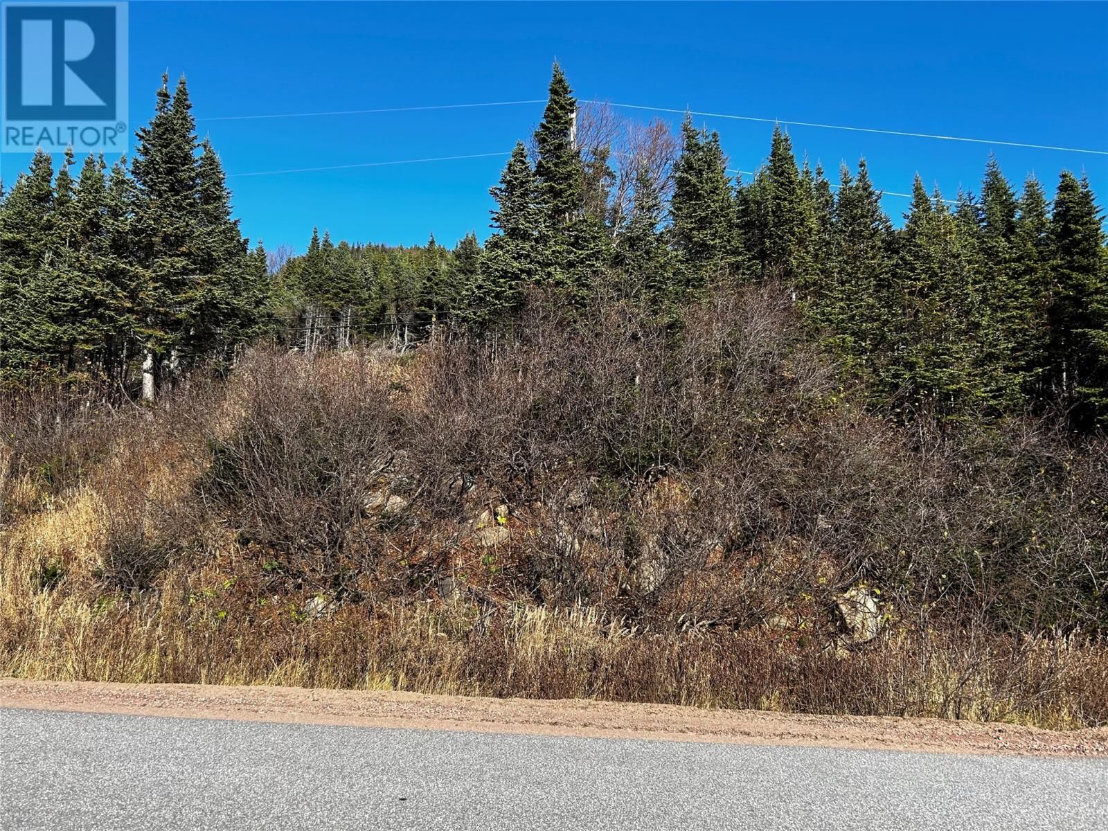 Property Photo:  161471 Northern Brook Road  NL A0K 4K0 