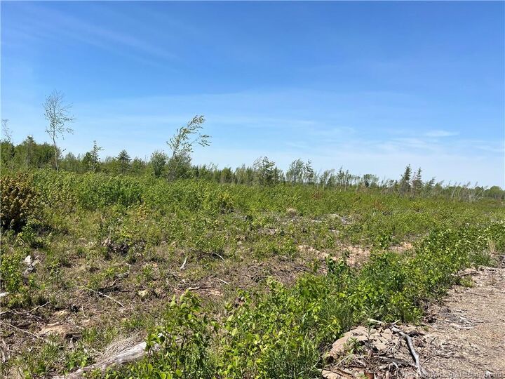 Property Photo: Lot Arthur Symes Lane NB E4T 2M5