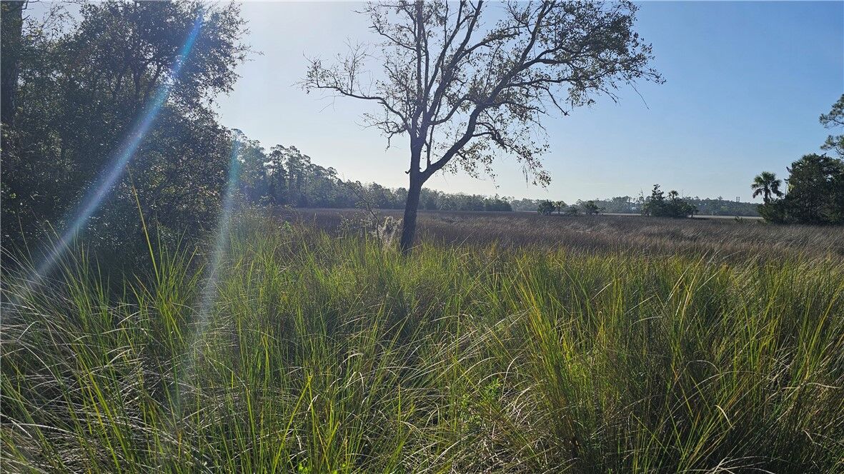 Property Photo:  304 Burford Road  GA 31523 