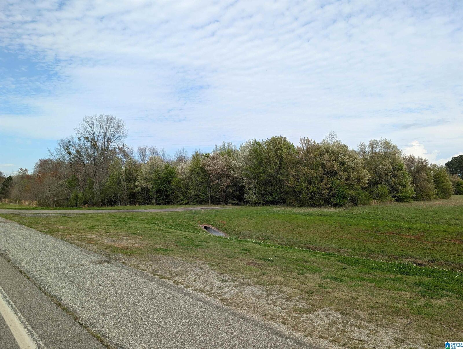 Property Photo:  0 (4 Acres) Highway 21 0  AL 36203 