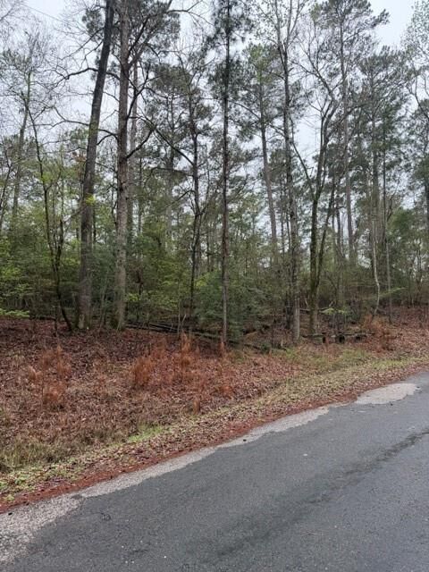 Property Photo:  Lot 39, 40 &Amp 41 S Lakeview Drive  TX 77364 