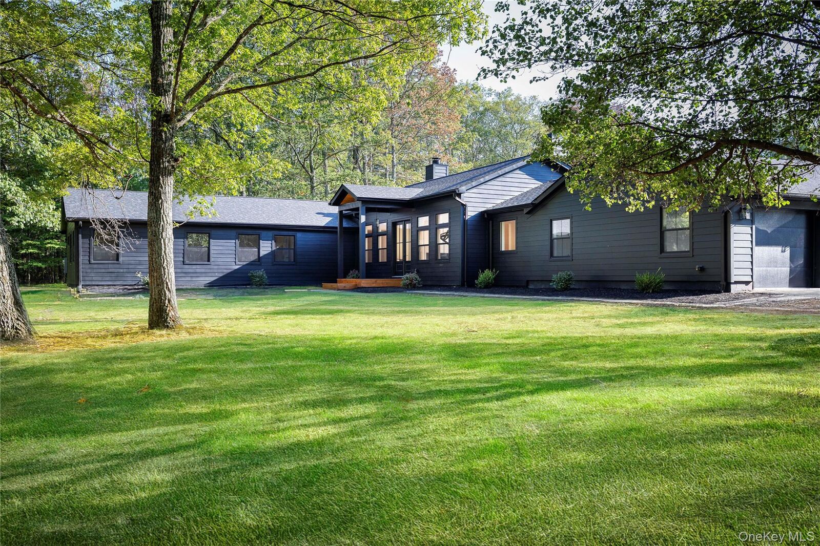 Property Photo:  119 Mt Laurel Road  NY 12446 