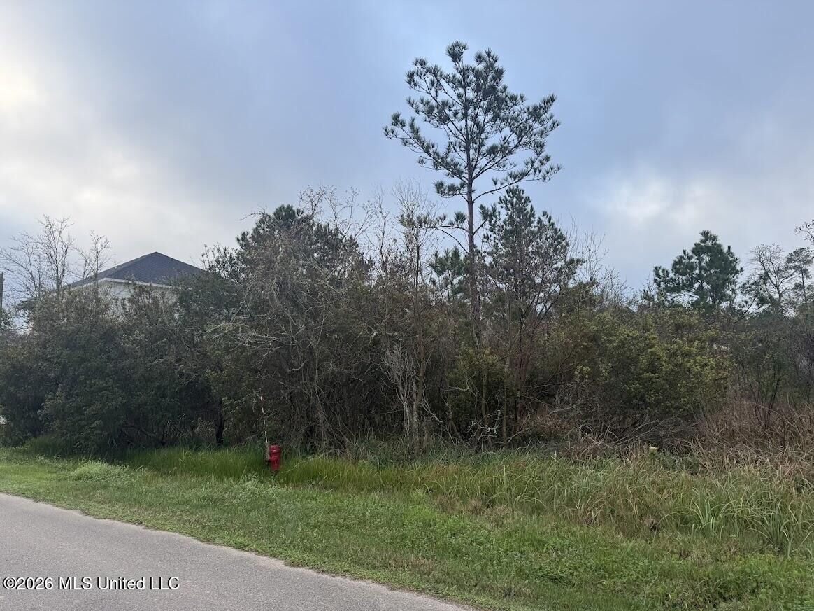 Property Photo:  Old Lazy River Road  MS 39520 
