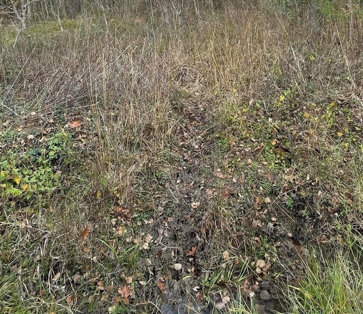 Property Photo:  L93044 Casey Road  TX 75901 