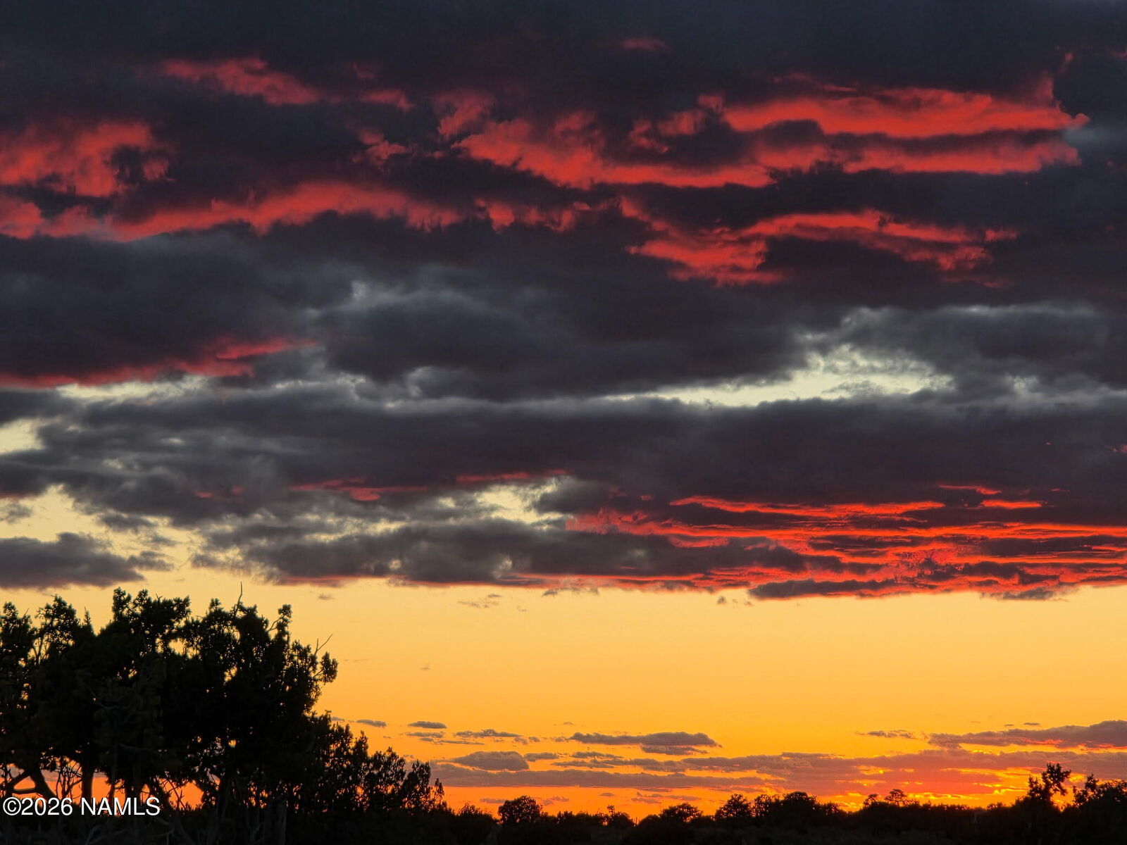 Property Photo:  7211 E Roper Lot C 12 Ac Circle  AZ 86046 