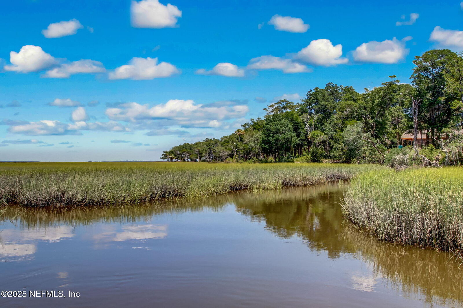 Property Photo:  28886 Grandview Manor  FL 32097 