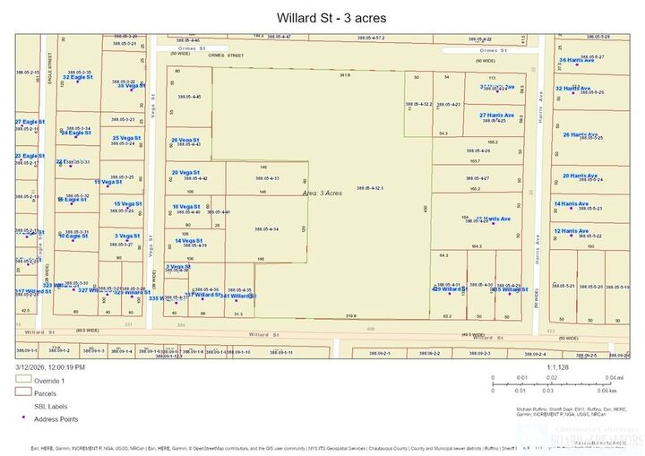 Property Photo:  0 Willard Street  NY 14701 