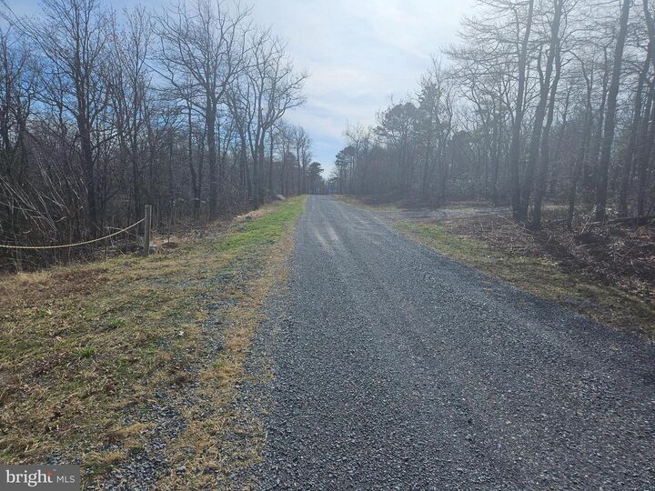 Property Photo:  Lot 115 Rockwood Trail  VA 22602 