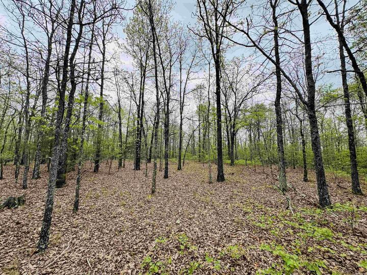 Property Photo: 113 Allen Drive AR 72173